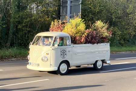 Herbstmarkt 2024